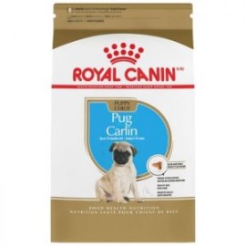 Alimento Royal Canin Pug Puppy 1.14 kg